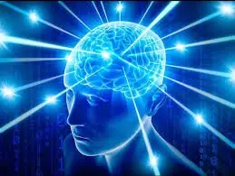 Mind Vault transformation no.1